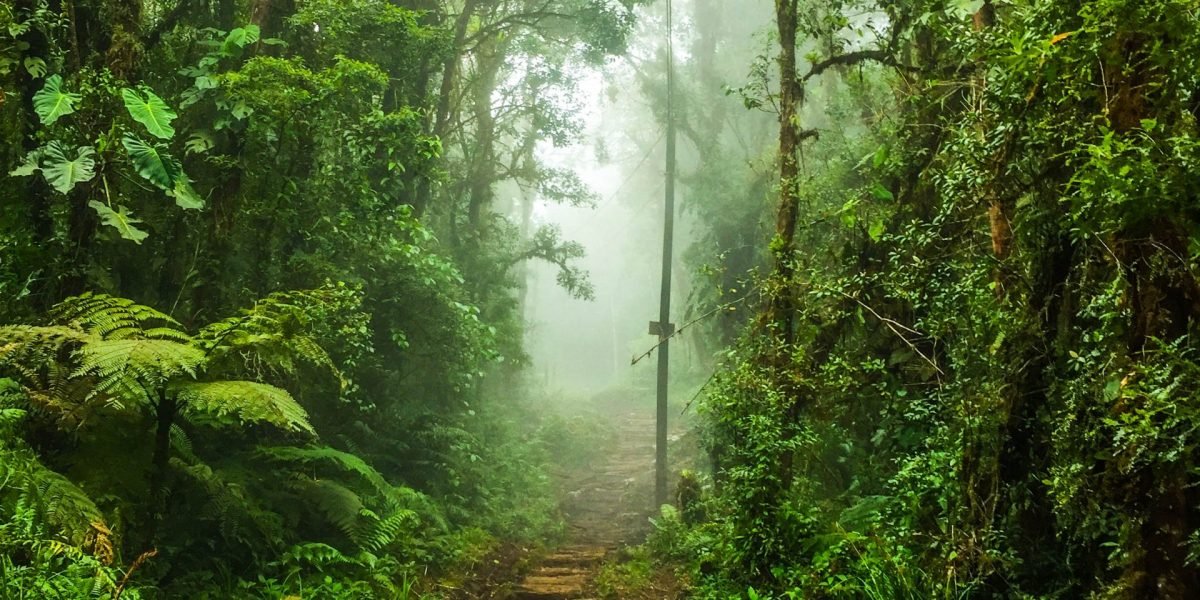 Cerro_Danta #1