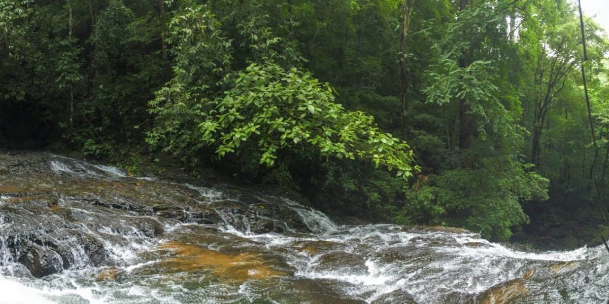 La Ceiba Ecoaventura #1