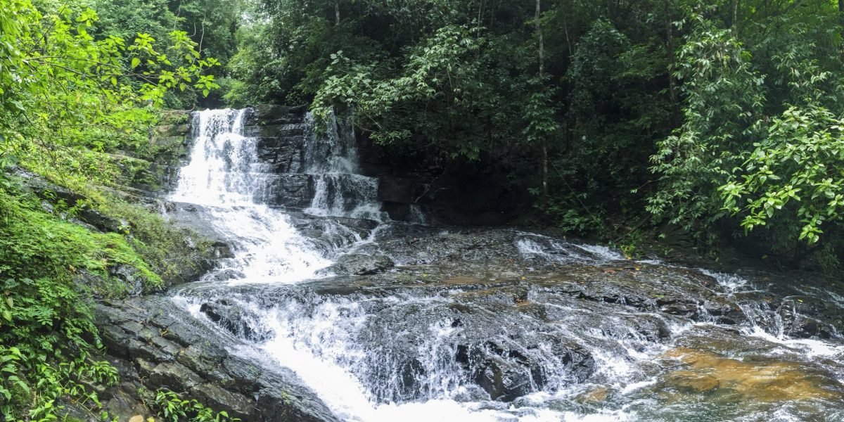 La Ceiba Ecoaventura #2