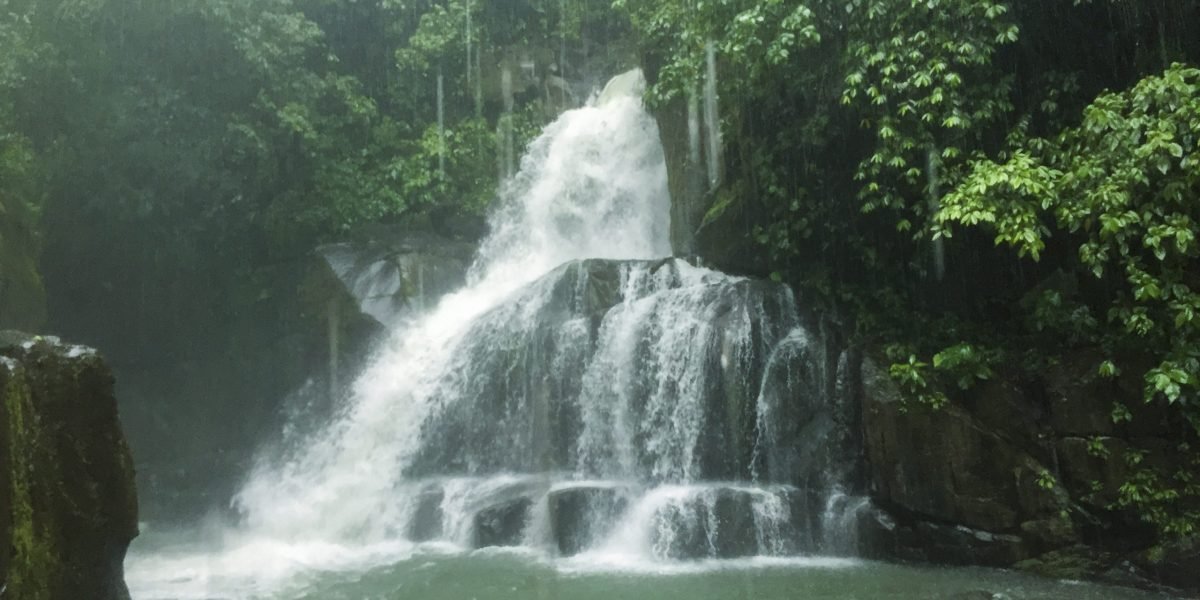 La Ceiba Ecoaventura #4