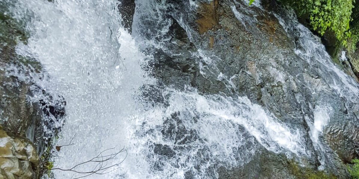 La Ceiba Ecoaventura #6