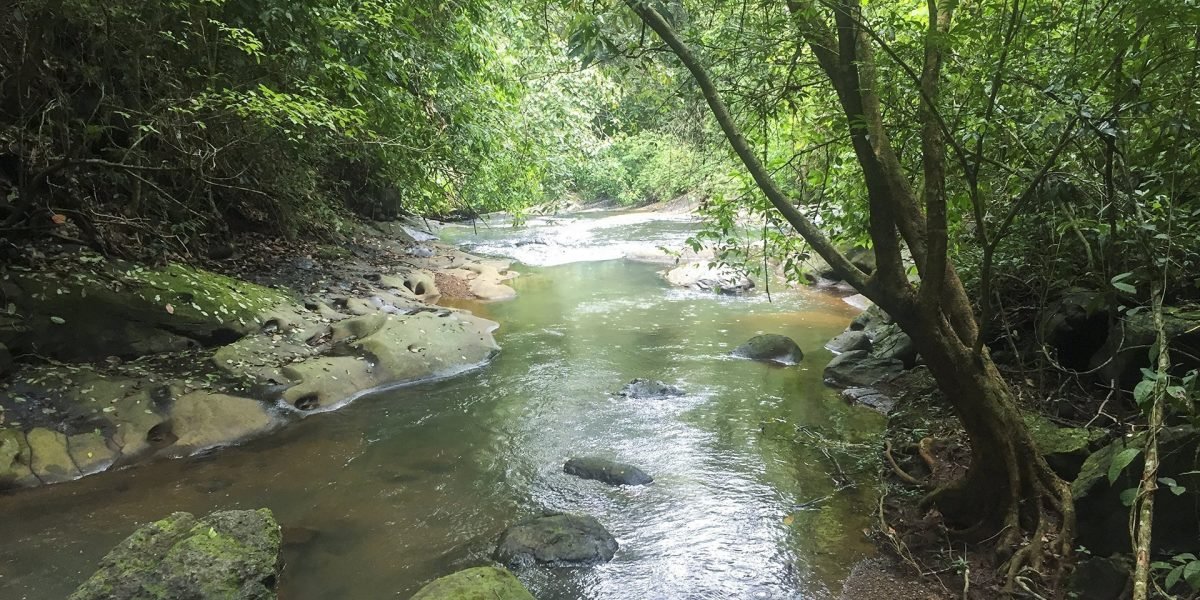 La Ceiba Ecoaventura #8