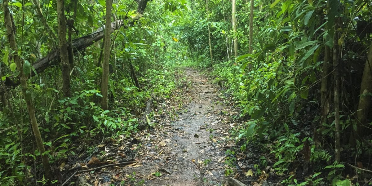 La Ceiba Ecoaventura #9