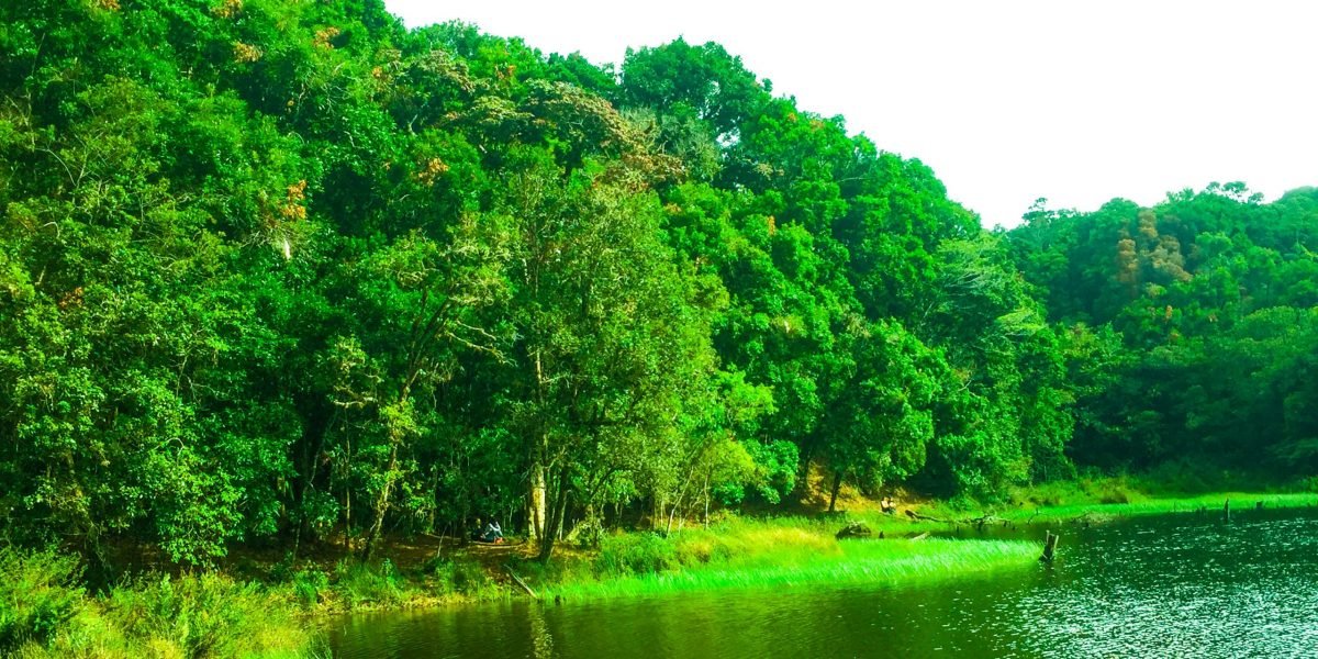 Laguna Don Manuel Tarrazu #10