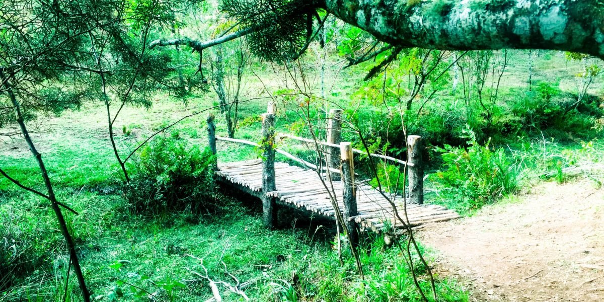Laguna Don Manuel Tarrazu #8
