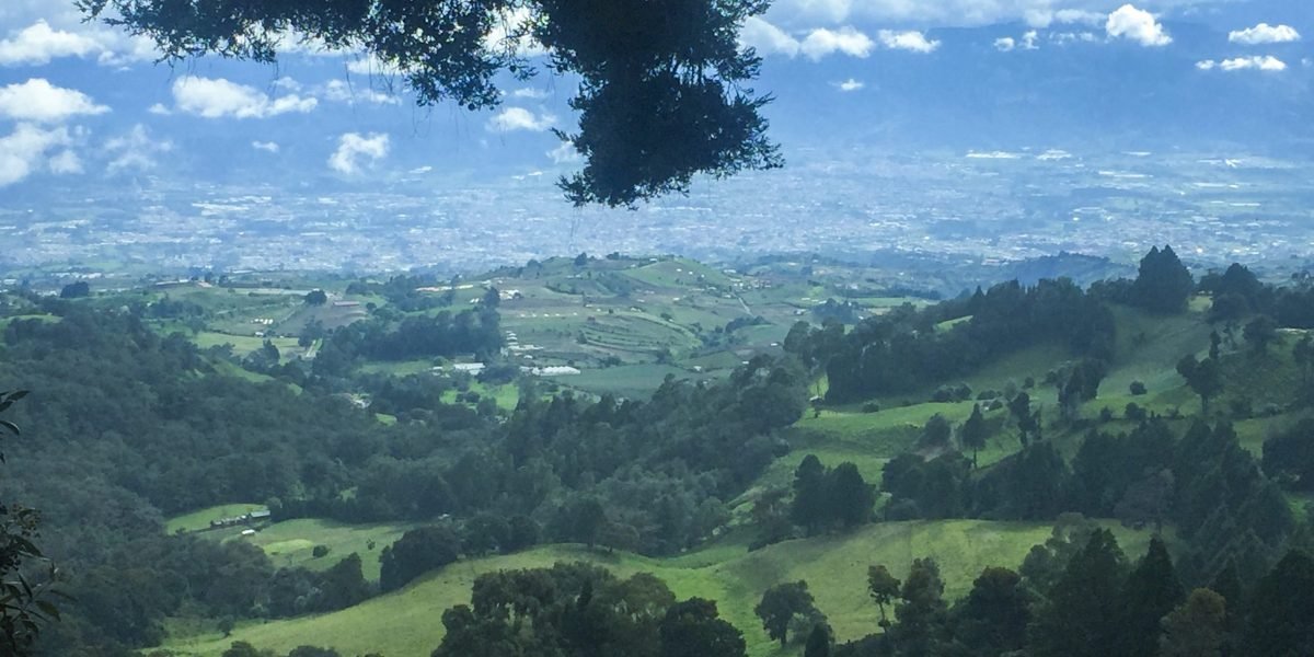 Parque Prusia #10