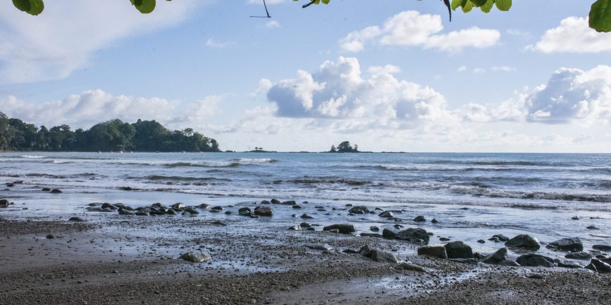 Playa Dominicalito 1