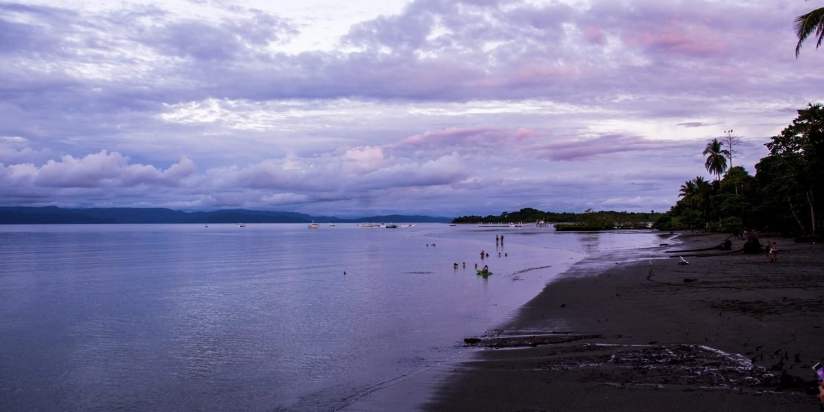 Puerto Jimenez #10