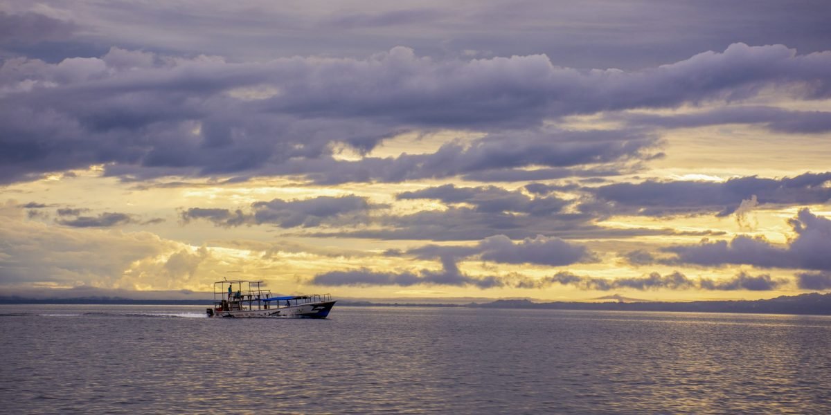 Puerto Jimenez #2